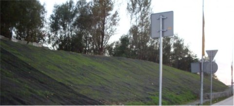 Geosiatka na skarpy, zbocza - 1,2 x 25 m zielona Geosiatka na skarpy, zbocza - 1,2 x 25 m zielona