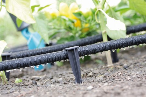 Kołki do linii kroplującej fi 16 - 100 sztuk WATERPEG Kołki do linii kroplującej fi 16 - 100 sztuk WATERPEG