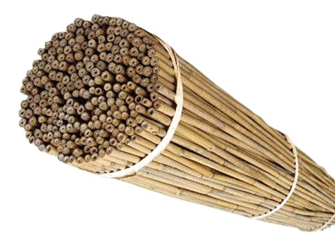Tyczki bambusowe PODPORY 105 cm (10/12 mm) - 100 szt. Tyczki bambusowe PODPORY 105 cm (10/12 mm) - 100 szt.
