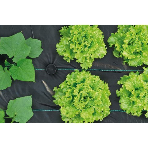 Kołki GARDENPEG 100mm - 100 szt Kołki GARDENPEG 100mm - 100 szt