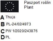 Pakiet tuja SZMARAGD 80- 90cm - 50 szt. Pakiet tuja SZMARAGD 80- 90cm - 50 szt.