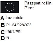 LAWENDA pakiet 30 szt ODSTRASZA kleszcze komary LAWENDA pakiet 30 szt ODSTRASZA kleszcze komary