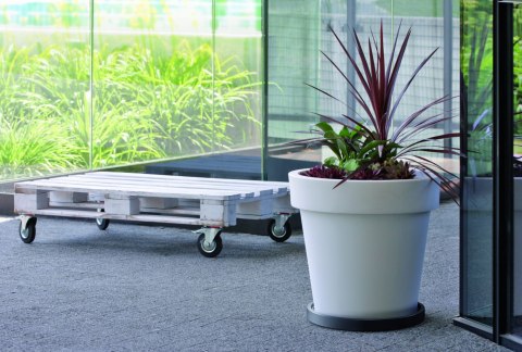 Platforma jezdna pod doniczki okrągła 37 cm z rantem Platforma jezdna pod doniczki okrągła 37 cm z rantem