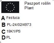 Kostrzewa sina - niebieska trawa - 20 szt Kostrzewa sina - niebieska trawa - 20 szt