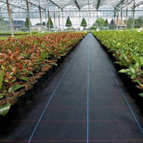 Agrowłóknina na chwasty czarna 90g/m 1,6x10m Agrowłóknina na chwasty czarna 90g/m 1,6x10m
